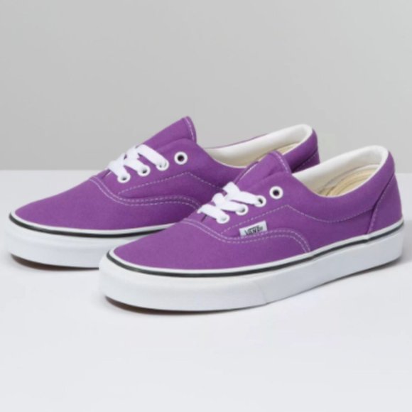 vans era sf dewberry & marshmallow skate shoes